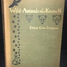 Antique 1900 Wild animals I have known illustrated outdoors