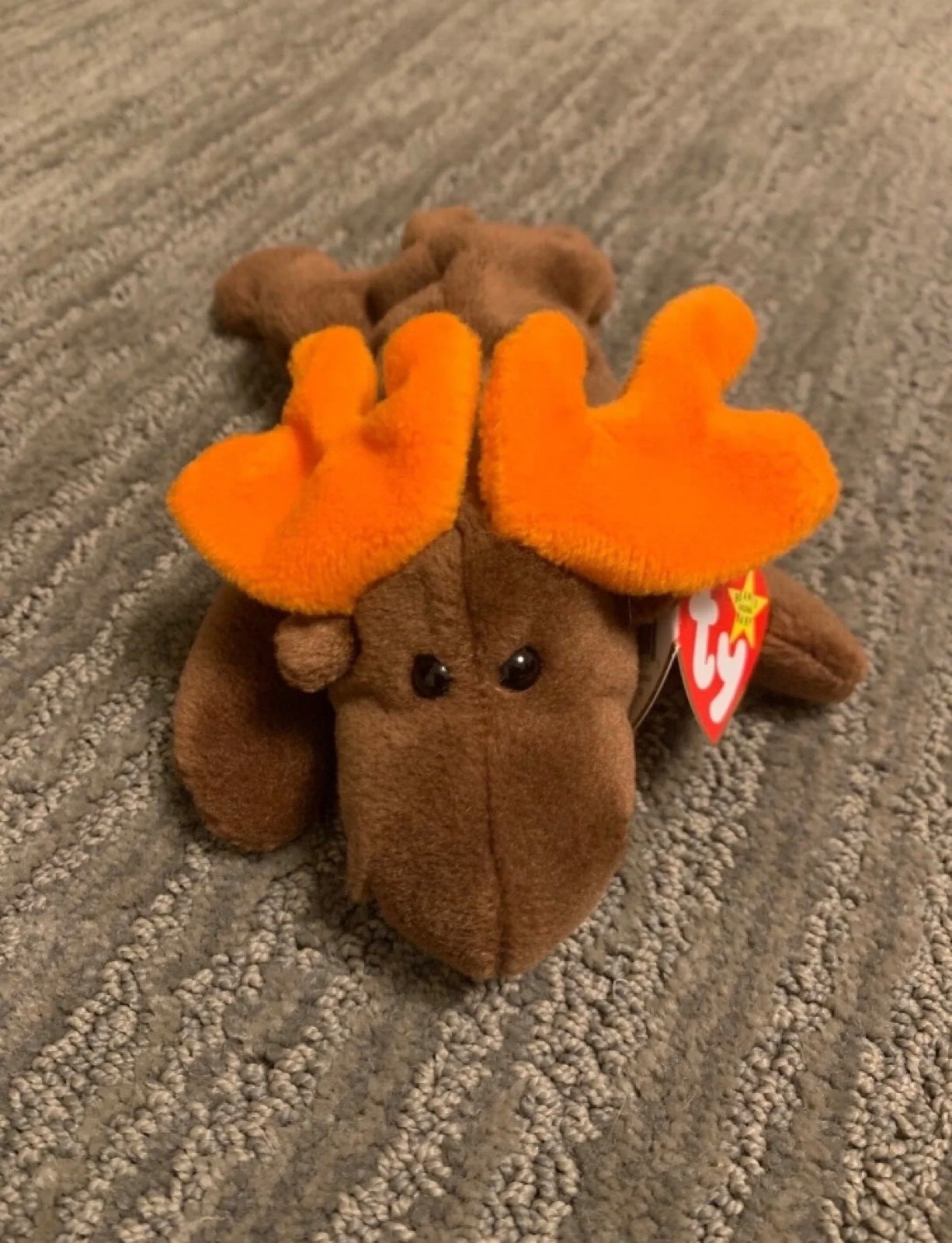 1993 TY Beanie Baby Chocolate the Moose set, PVC Pellets in main one