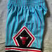 Mitchell & Ness Chicago Bulls Shorts