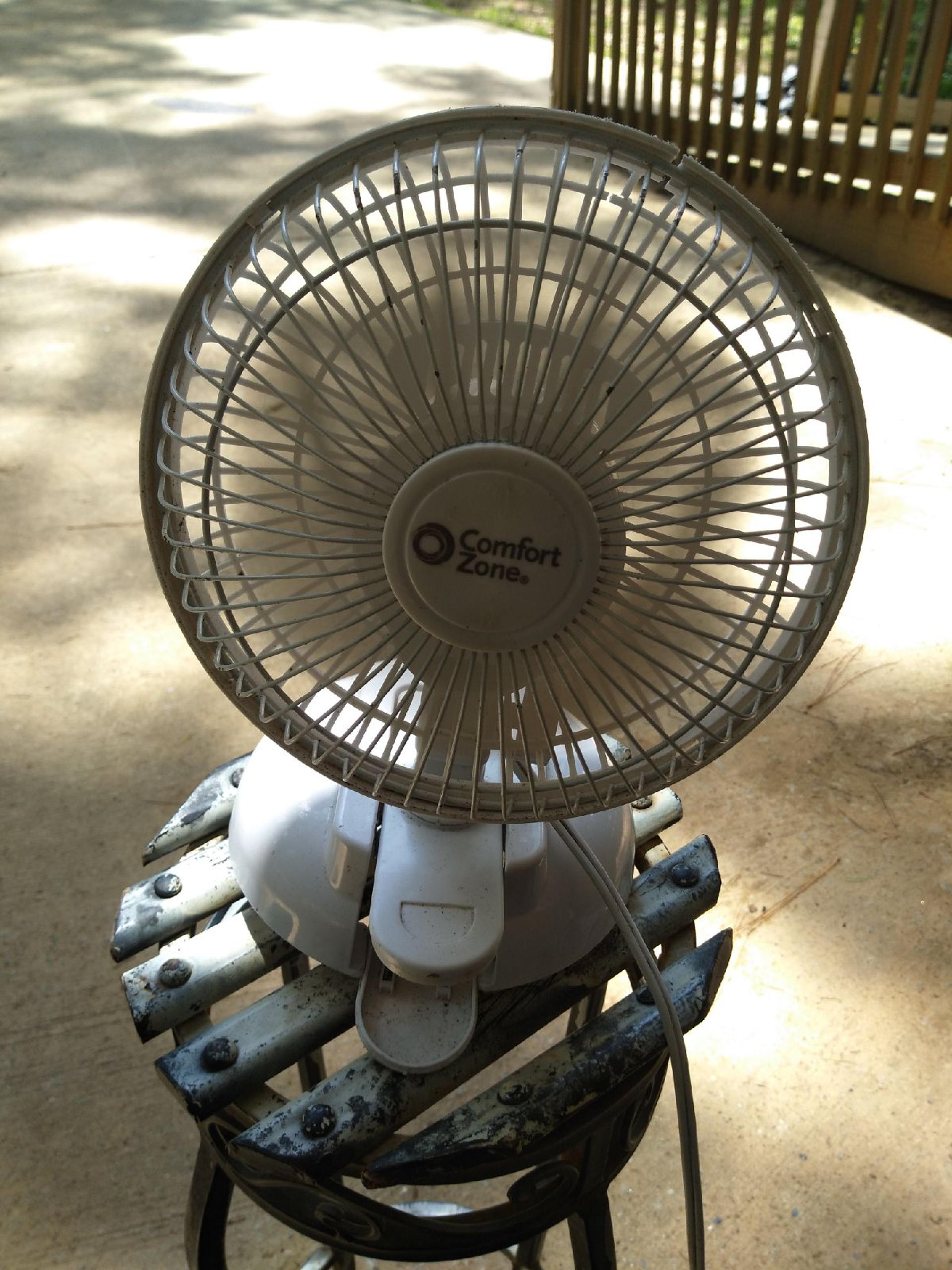 fans