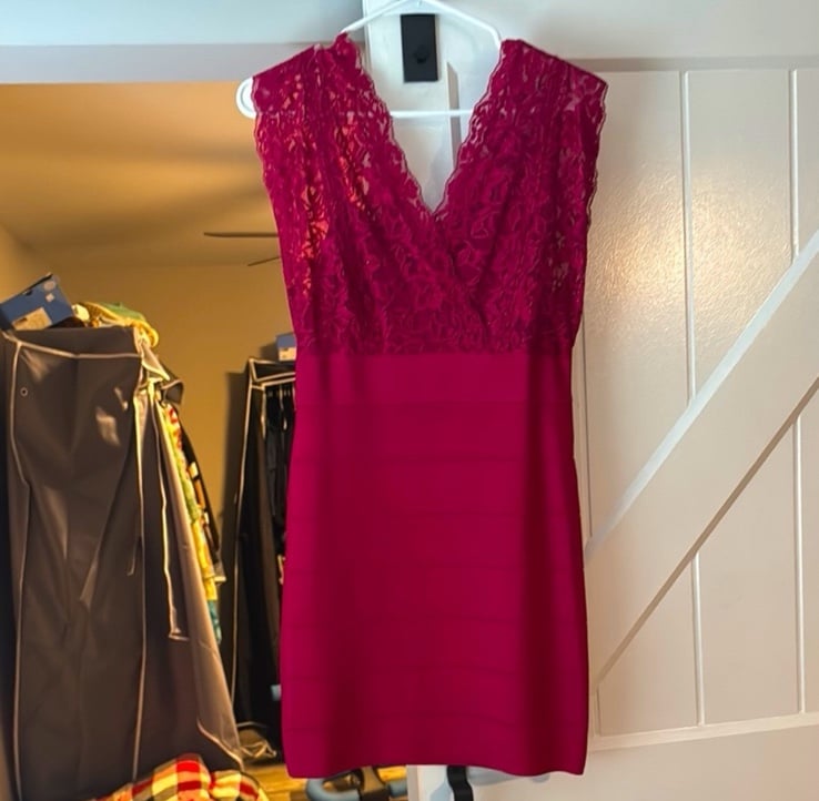 BEBE Fitted Lace V-Neck Dress in Red