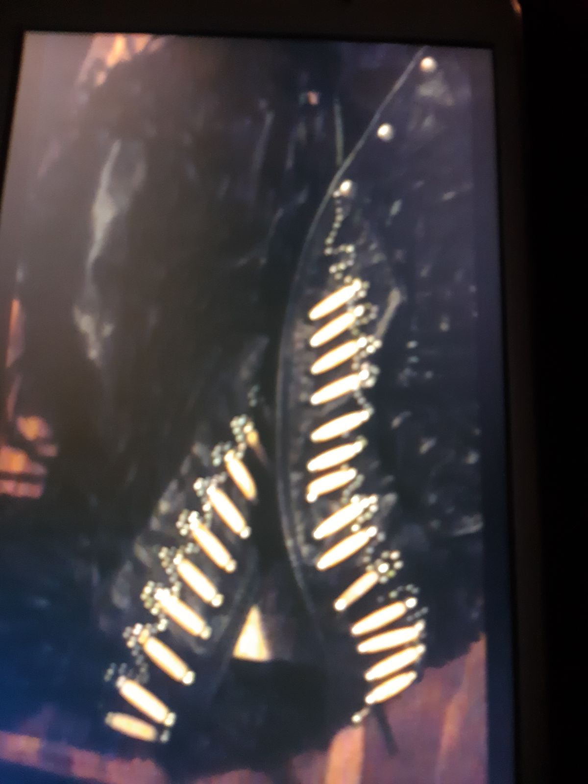 Leather chaps and vest