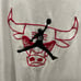 Vintage 1995 Michael Jordan Chicago Bulls #45 Shirt