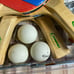 Halex competion 4000 tennis set