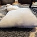 Contour neck pillows
