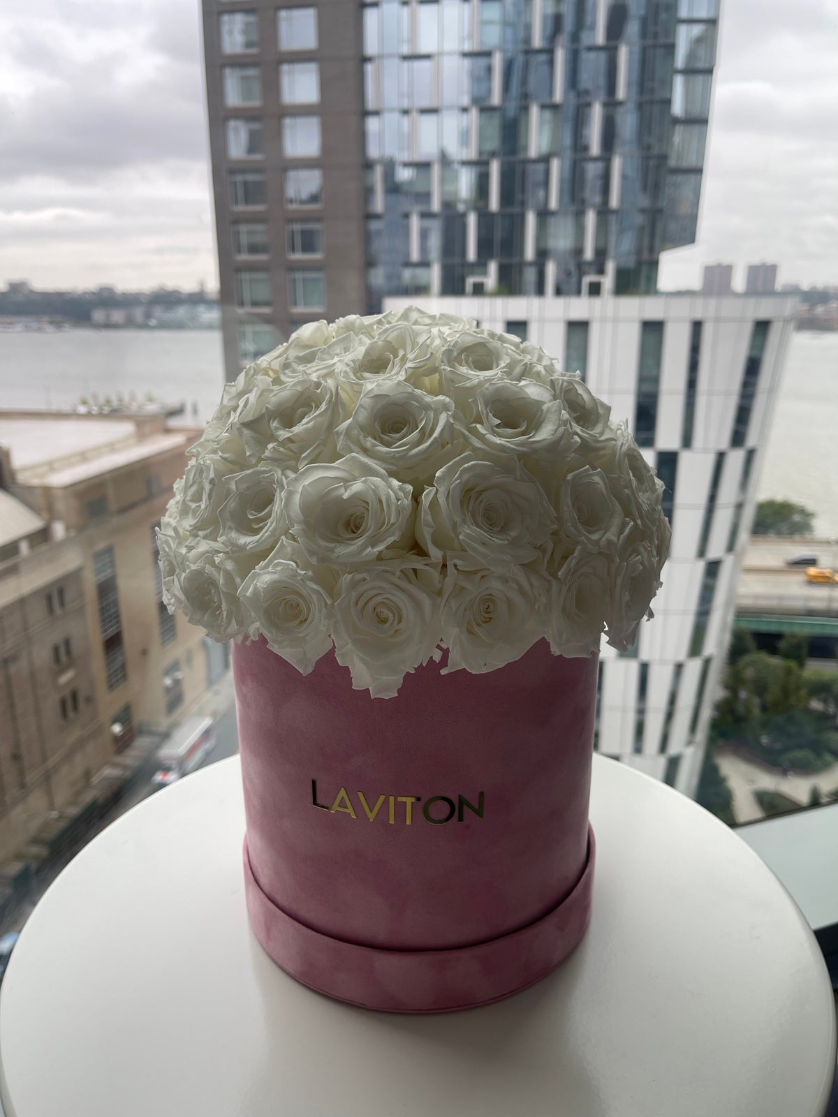 56 White Preserved Roses