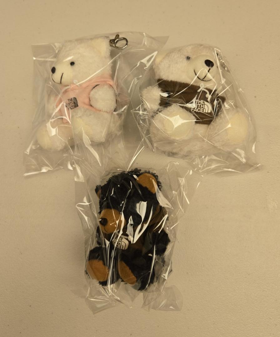 Korea Exclusive North Face Bear Keychain Bag Charm Keyring