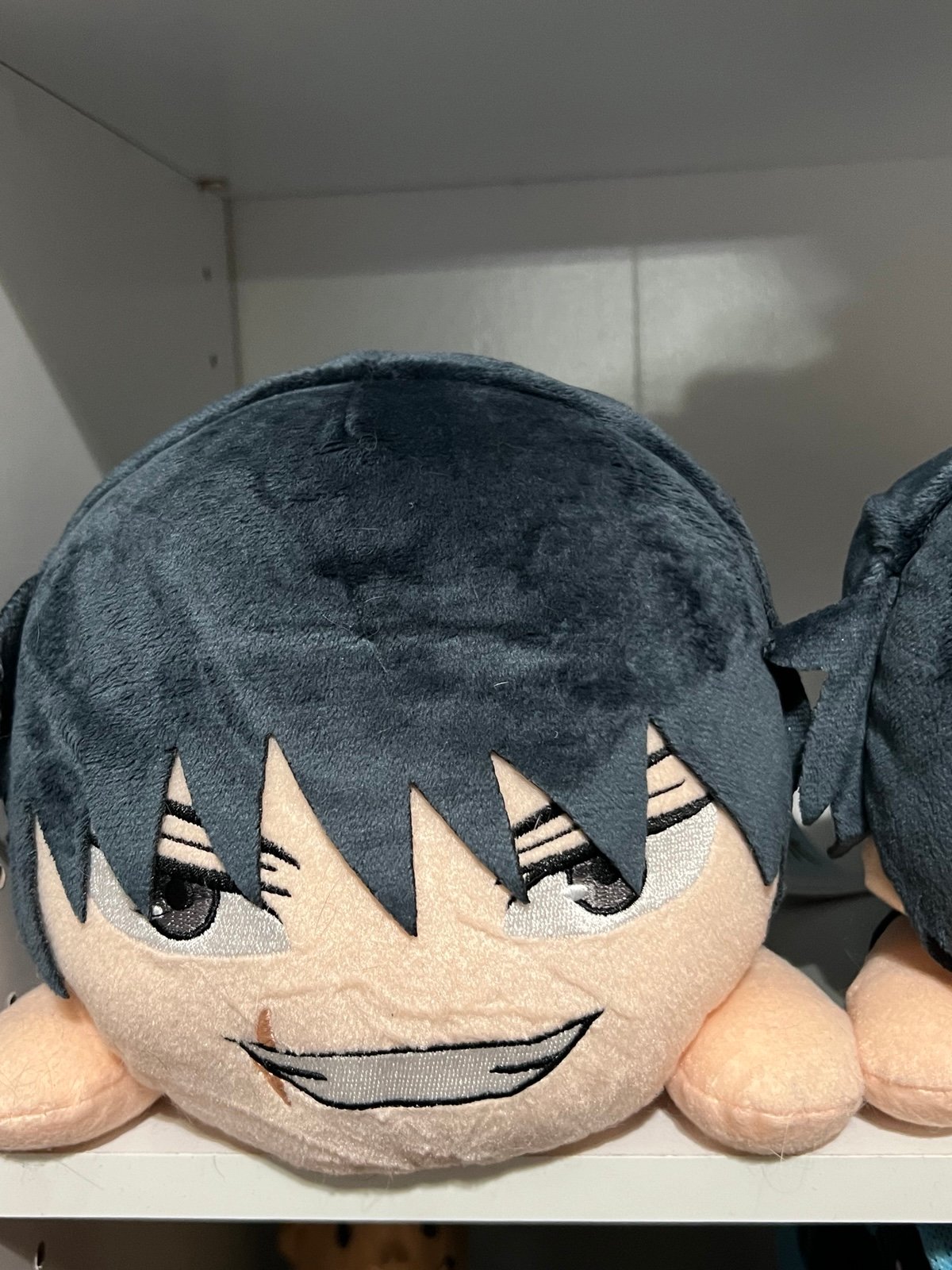 Two Toji Laying Plushes