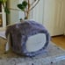 Kate Spade Owl Hoot 3D Fuzzy Coin Purse Keychain NWT