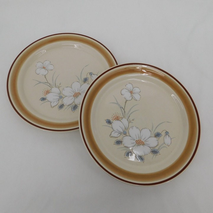 Set of 2 Hearthside Water Colors Dawn Salad Plate 7 7/8 Stoneware Japan Vintage