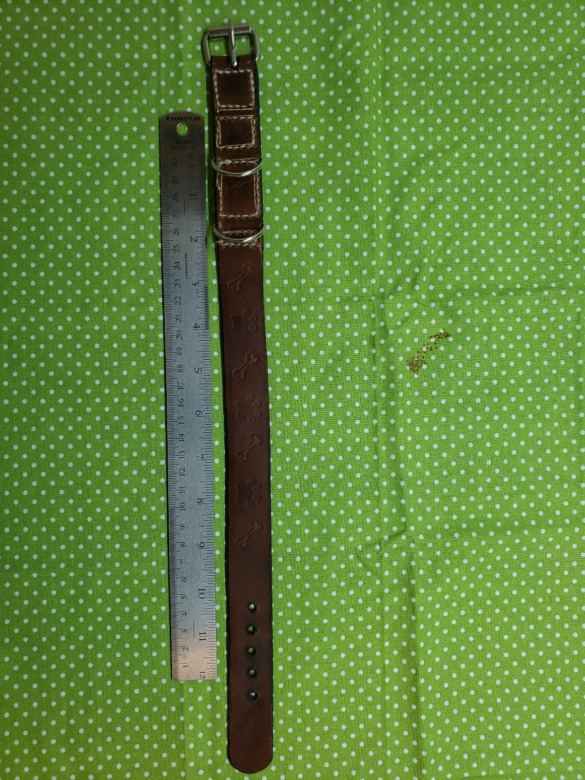 Leather Dog Collar for medium dog