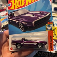 Hot wheels shelby gt500 super treasure hunt