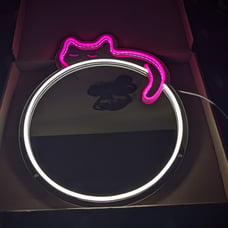 LED Cat Acrylic Mirror