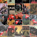 Walking dead lot of 24 assorted issues