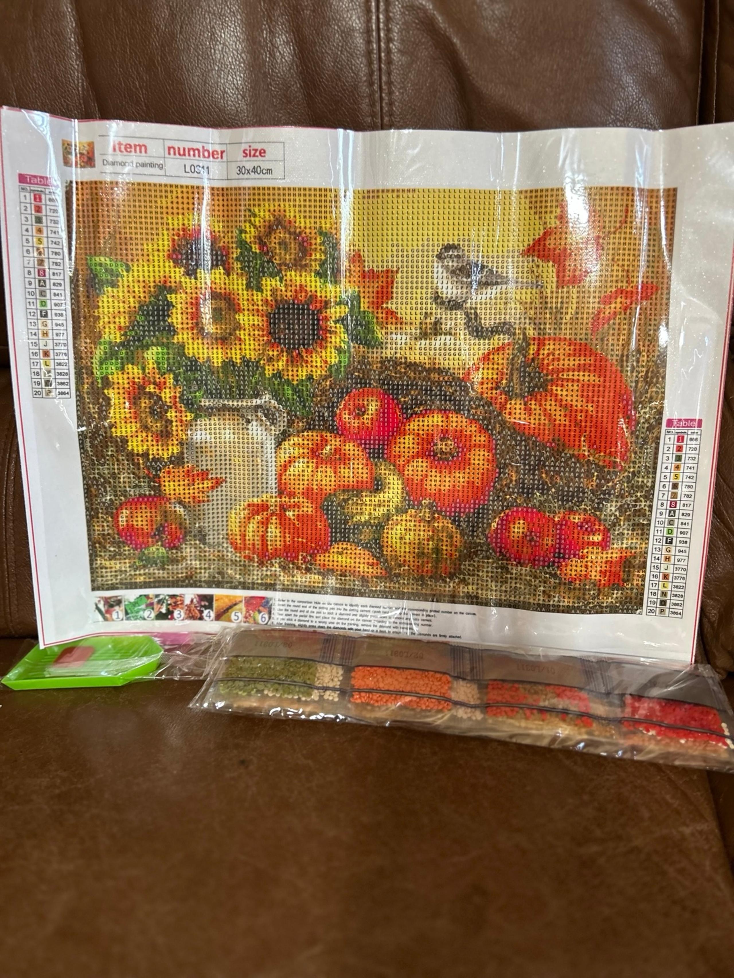 New Diamond painting art kit.