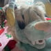 Alien cat fursuit