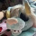 Alien cat fursuit