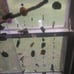 DriftWood Sun Catcher With Vase