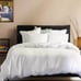 Throw Pillows