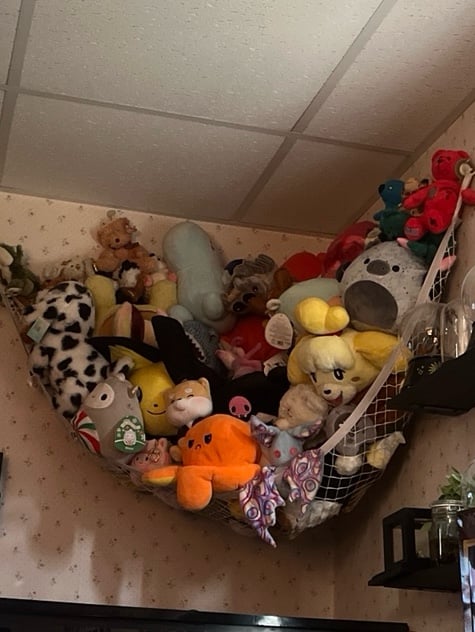 over 100 plushies Lot