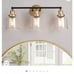 Vanity light