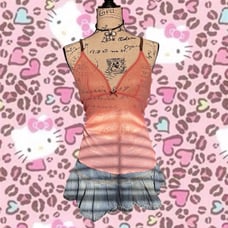 Fairy Pink Mesh Sheet Top