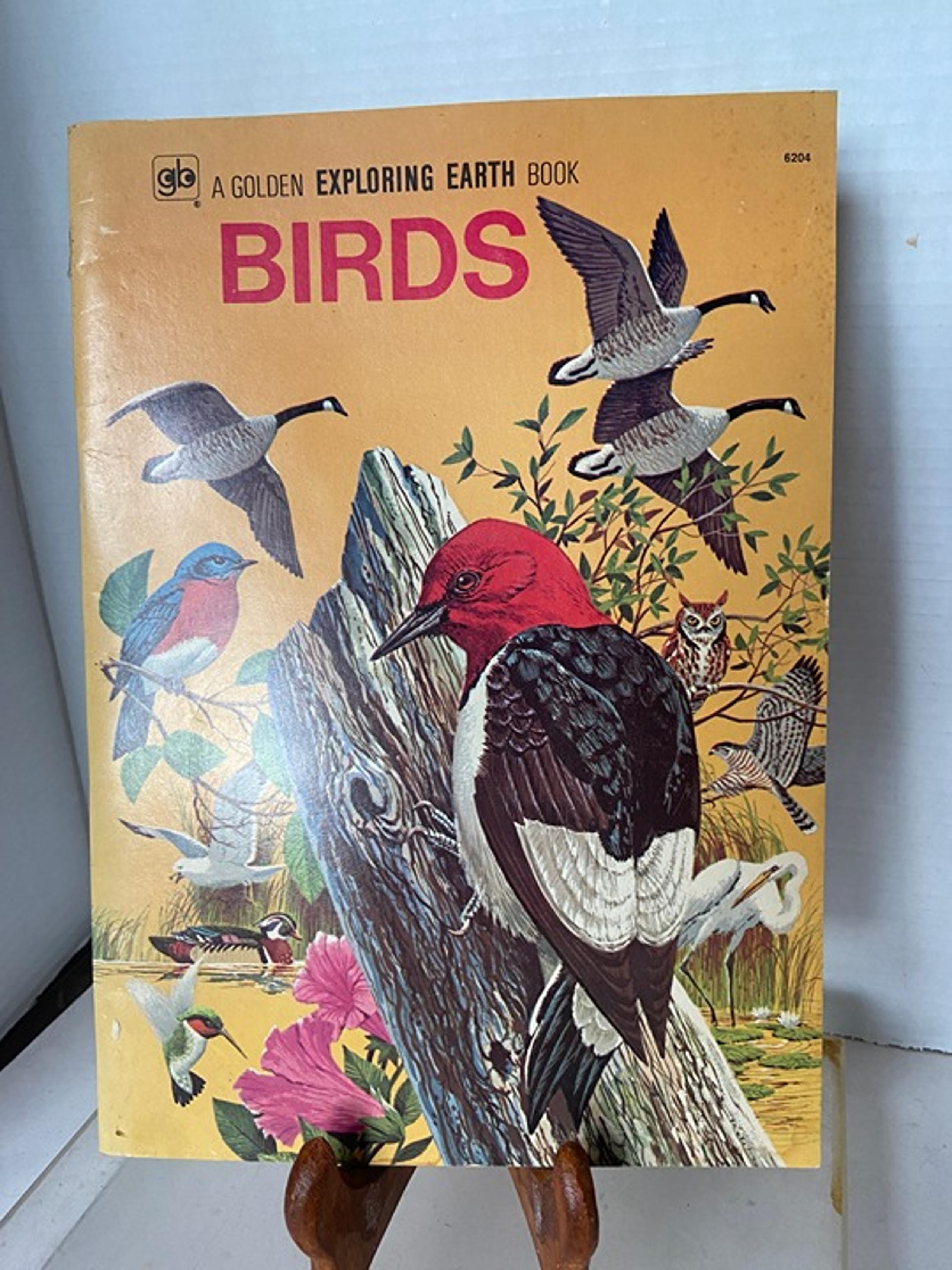 Vintage Golden Exploring Earth Birds Book