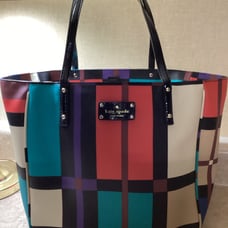 Kate Spade bucket purse. Retro color block