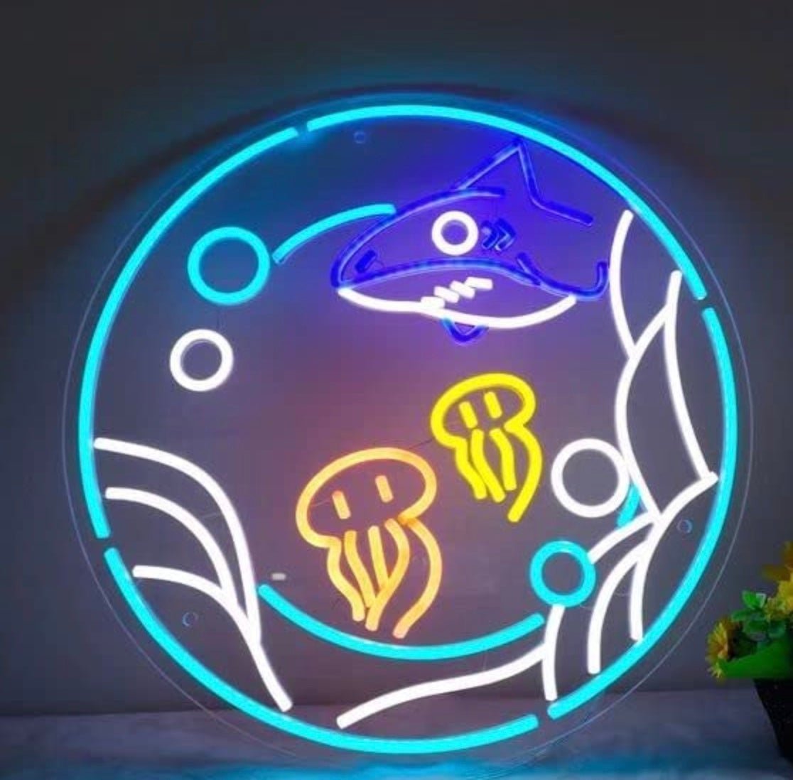 Lovely Bright Squids & Shark Circle Ocean Art LED Night Light Room Wall Decor