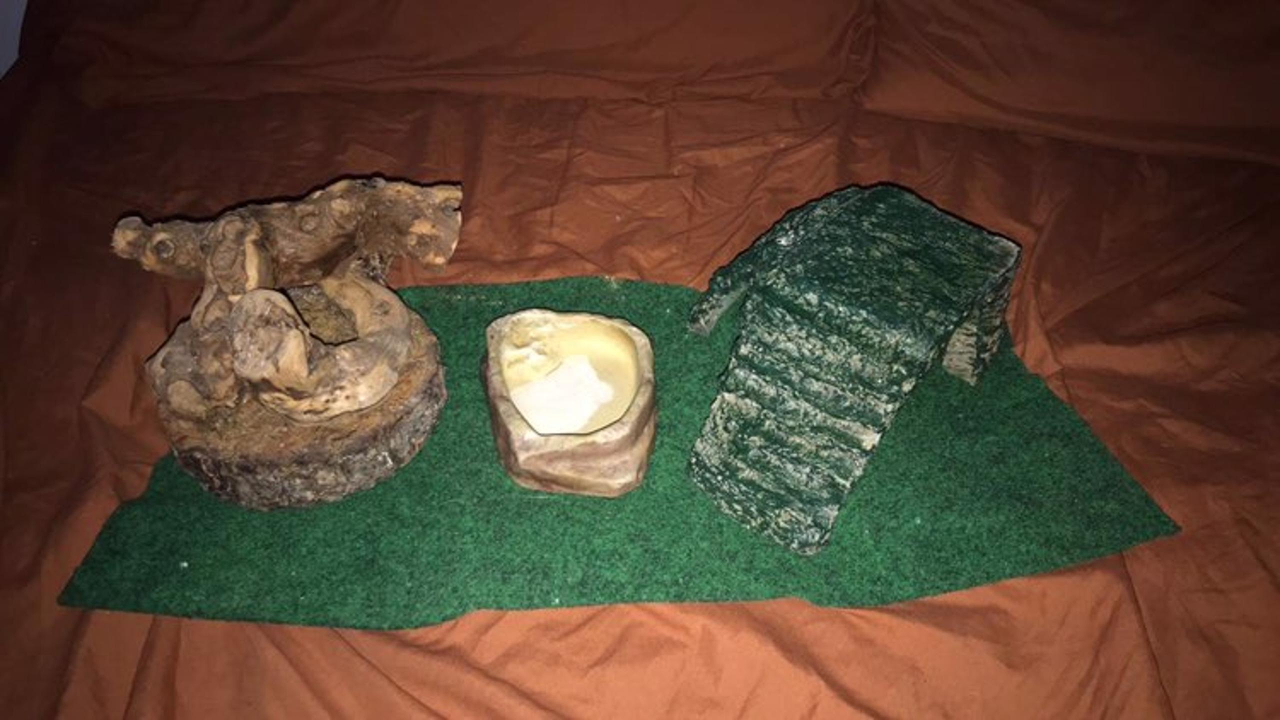 Lizard house items