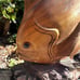 Hand carved mahogany wooden Discus fish sculpture carving from Bali-20x21x7 inch