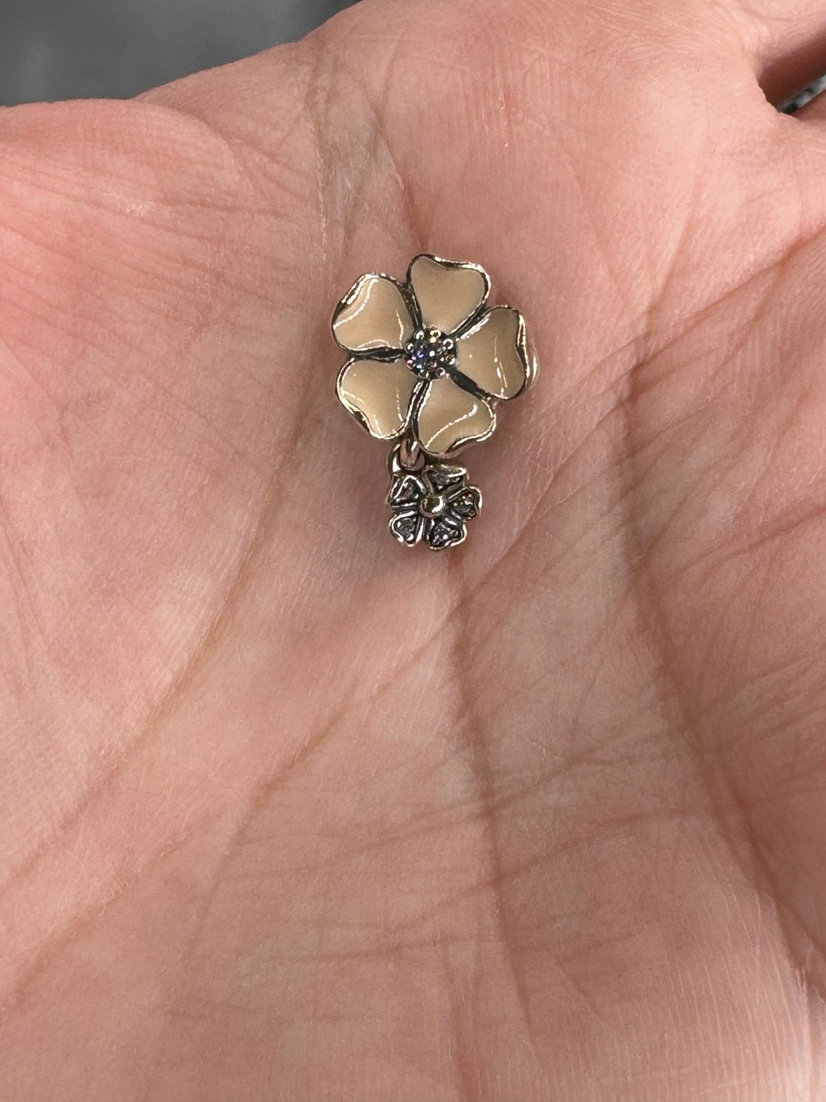 Pandora poetic blooms dangle charm