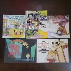 Calvin and Hobbes comic books 5 lot bundle
