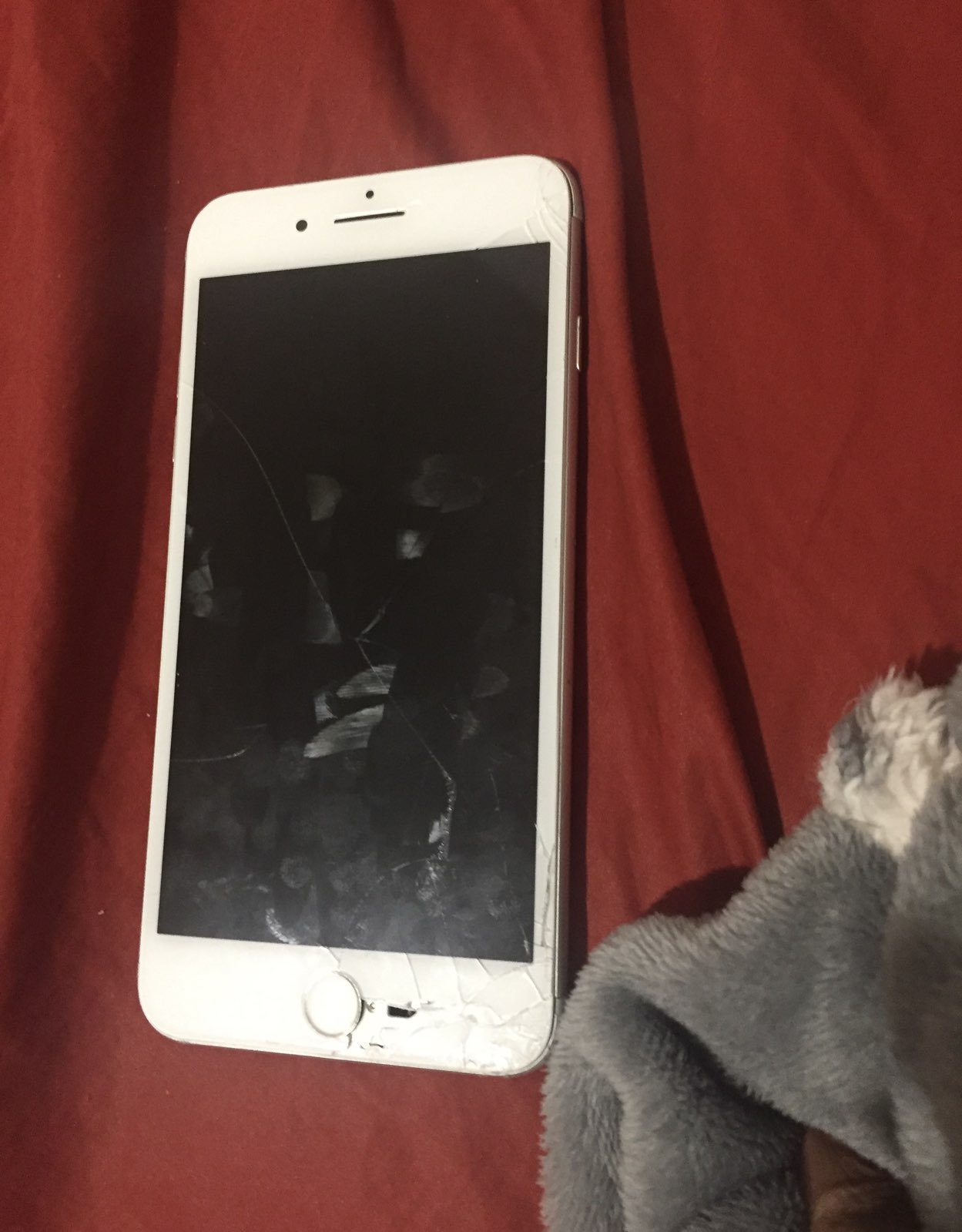 iphone 7