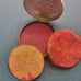 Vintage 30's rouge compact Cashmere