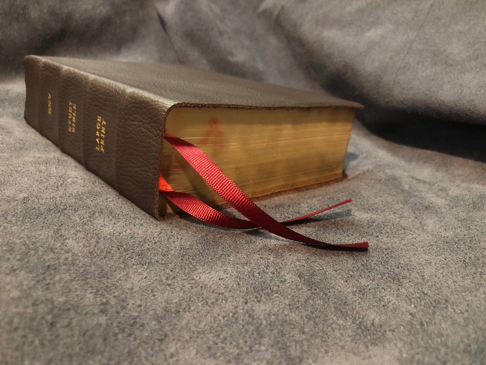 ESV study Bible Large Print genuine leather Brown English Standard Version