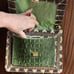 Angel Jackson python handbag vintage