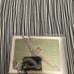 Cristian pache topps chrome rookie