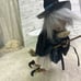 Vintage Santa Crafts Brand Flying Witch