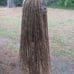 Long ash brown knotty hair extensions