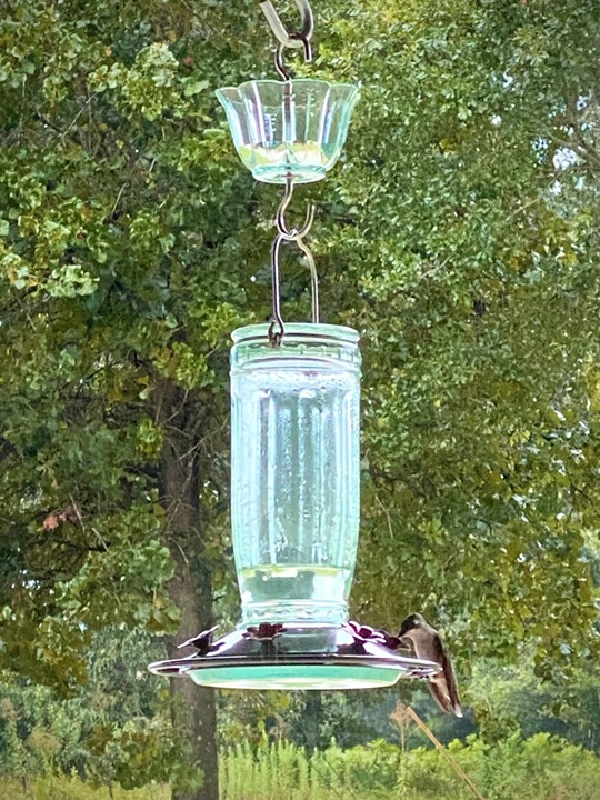 Kingsyard Glass Hummingbird Feeder for Outdoors Wild Bird Feeder with 6 Feeding