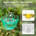 Kingsyard Glass Hummingbird Feeder for Outdoors Wild Bird Feeder with 6 Feeding