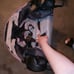 Baby girl stroller