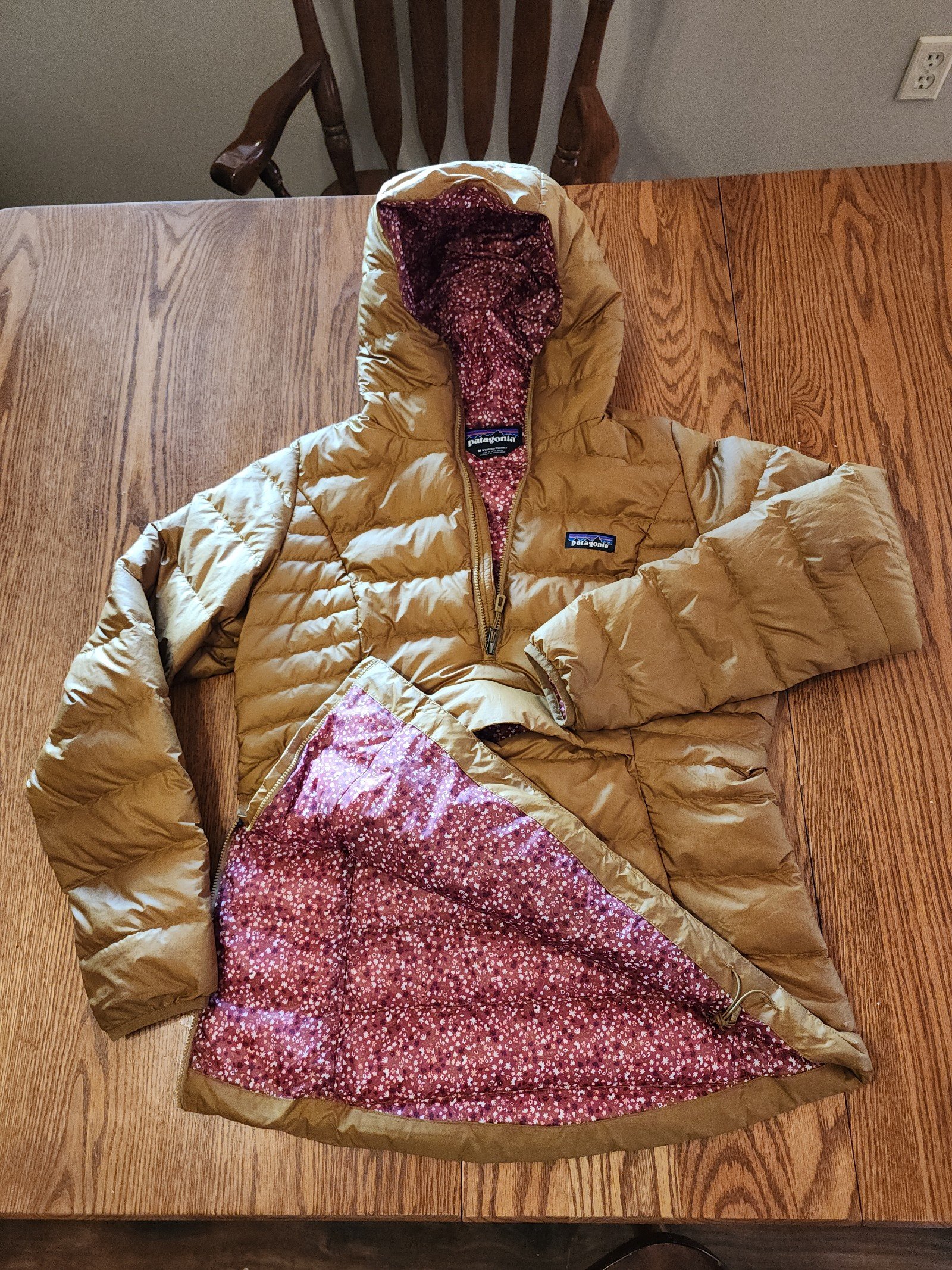 Patagonia