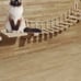 Cat suspension Bridge