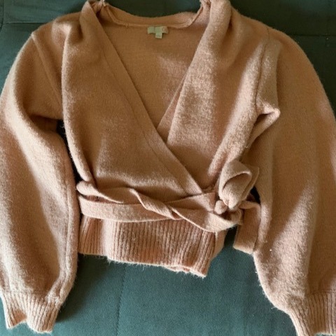 Gianni Bini Cropped Sweater