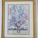 VTG Robert Furber Sept Framed 22x18 Botanical Print 12 Months of Flowers