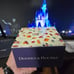 Dooney and Bourke magic band