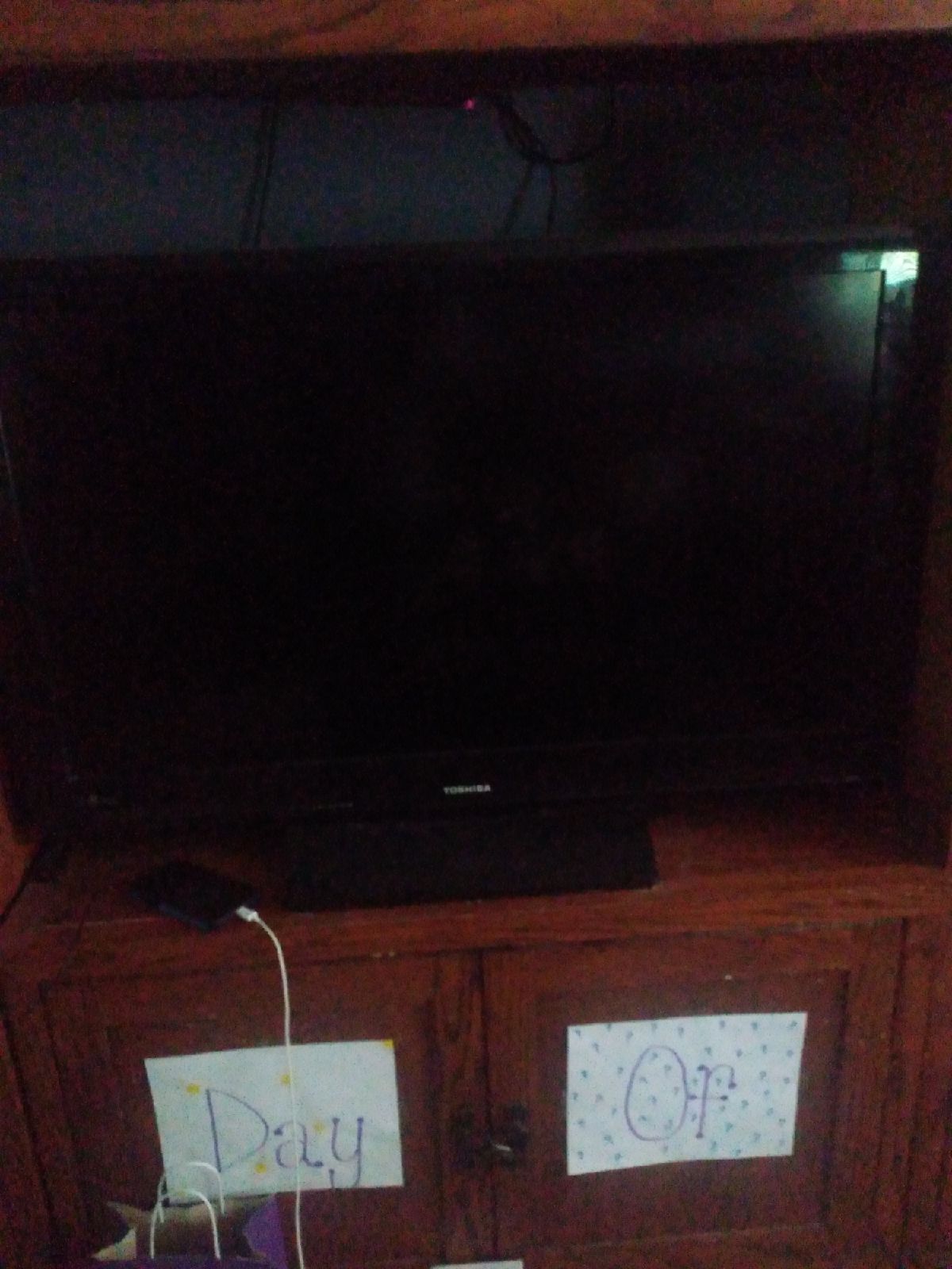 Toshiba 2009 Television
