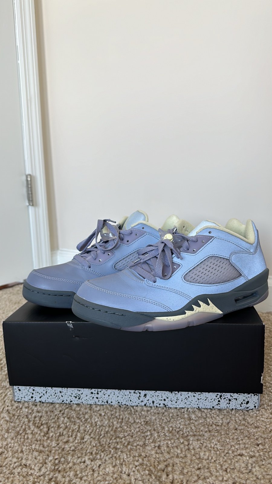 Air Jordan 5 (Bundle)